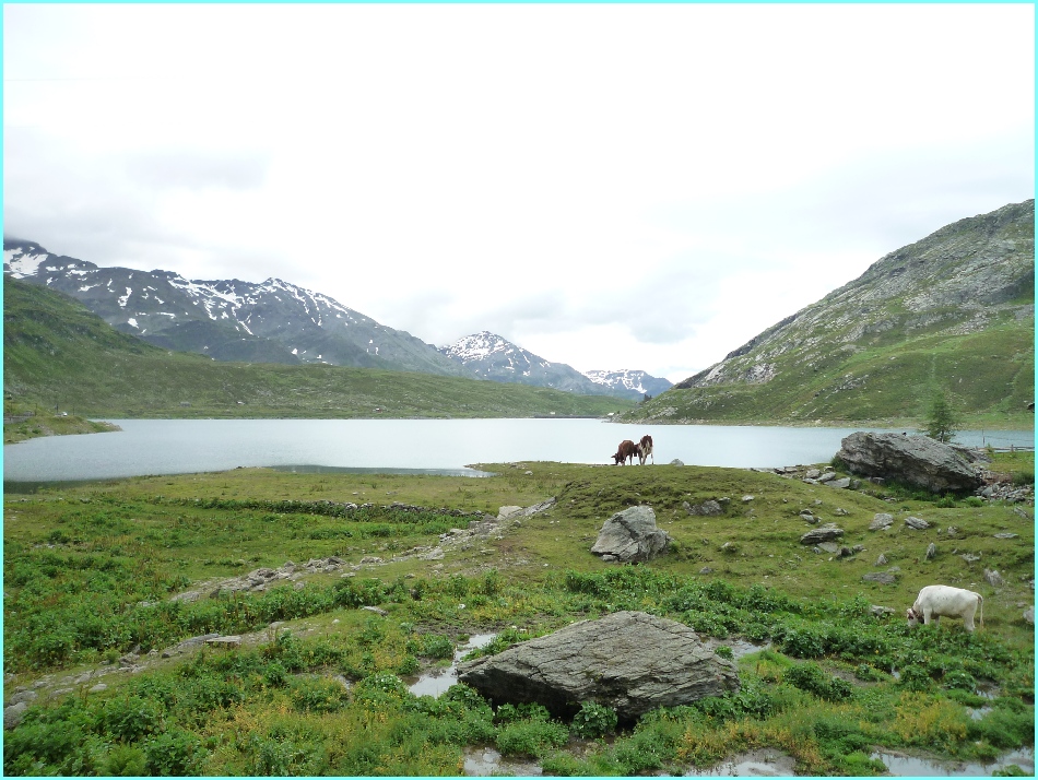 Abfahrt Splügenpass.jpg